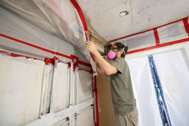 Best Mold Remediation for Healthcare Facilities  in Jackson, WY