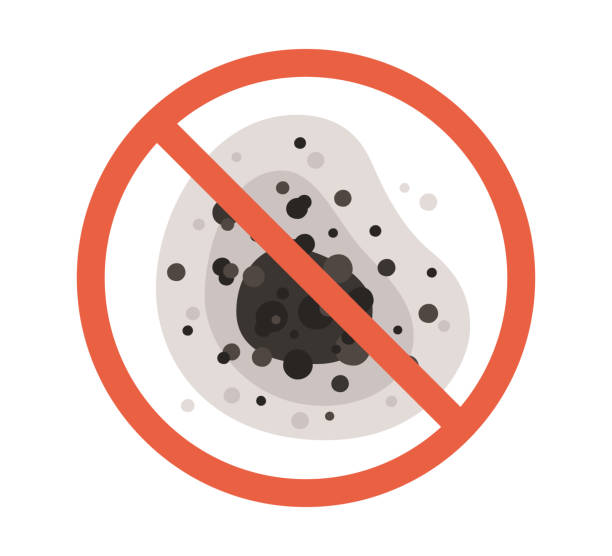 Best Dehumidification Services  in Jackson, WY