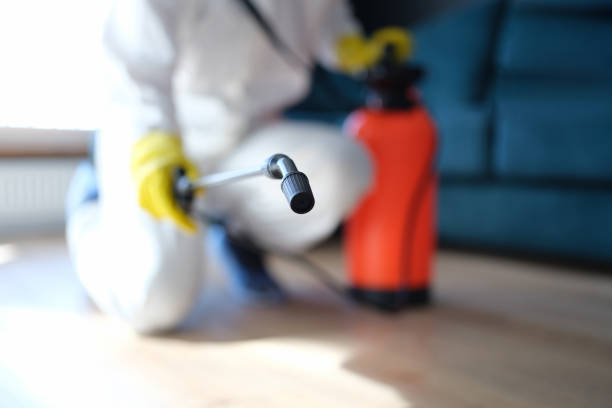 Best Crawl Space Mold Remediation  in Jackson, WY