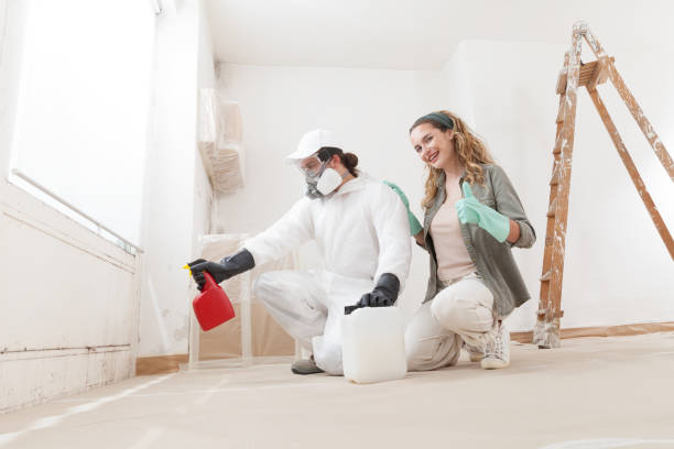 Best Attic Mold Removal  in Jackson, WY