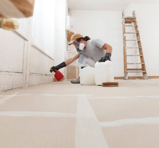Best Mold Odor Removal Services  in Jackson, WY