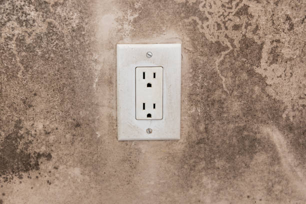 Dehumidification Services in Jackson, WY