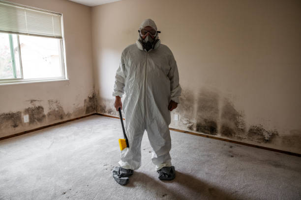 Best Commercial Mold Inspection  in Jackson, WY