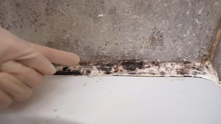 Best Indoor Air Quality Assessment  in Jackson, WY