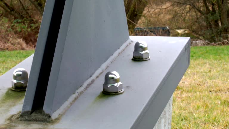 Best Post-Construction Mold Inspection  in Jackson, WY